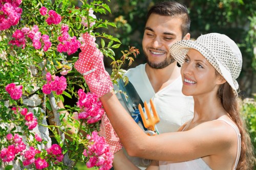 Experienced Carshalton tree surgeon managing a residential tree project
