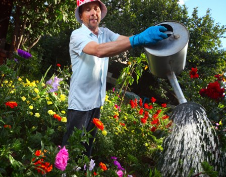 PCI-compliant payment methods for Tree Surgeons Carshalton tree services