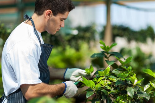 Transparent pricing model for tree surgeons in Carshalton